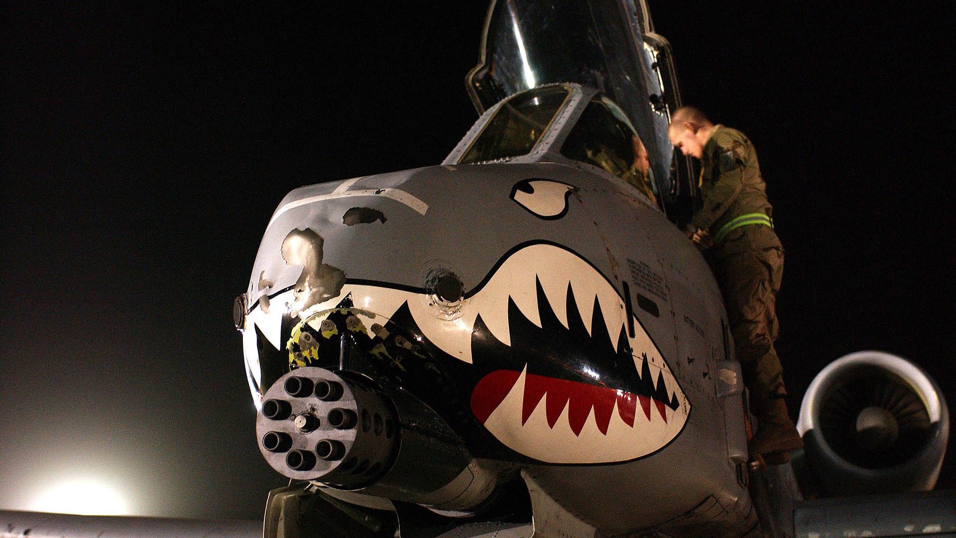 _森林狼拼劲十足，追逐季后赛梦想_，森林狼kg