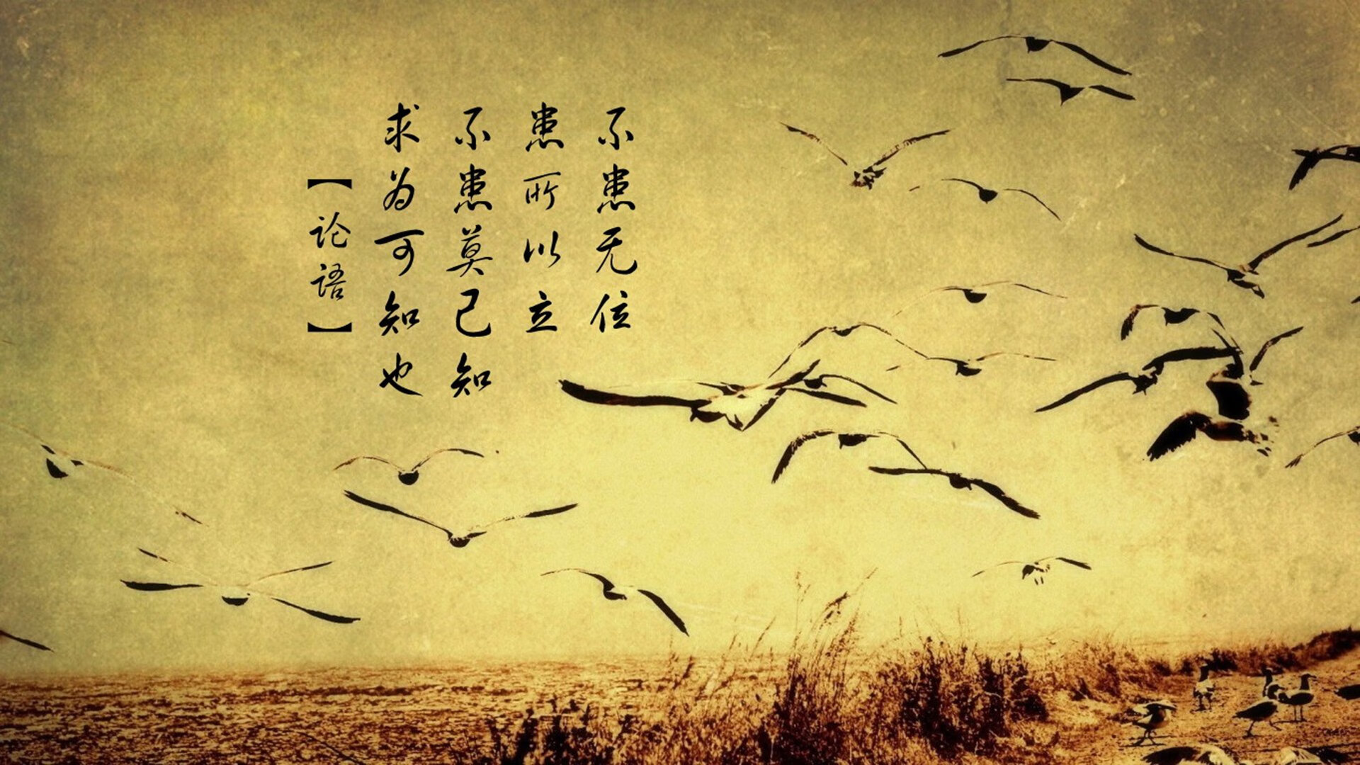 _森林狼新秀崭露头角,球队未来可期_,森林狼2021阵容