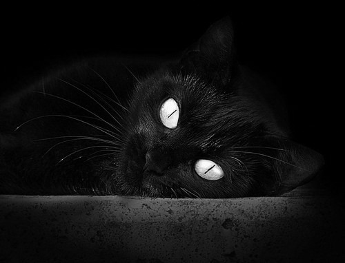 _绿色制动力滑板:环保出行新选择_,绿色动力是什么板块