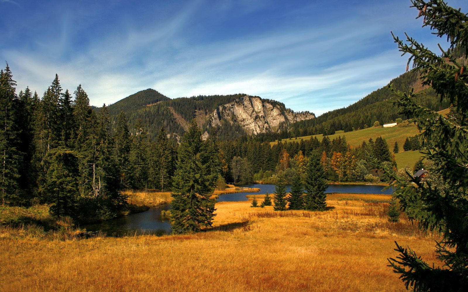 伊朗球员全票入选冬奥最佳阵容，伊朗参加东京奥运会了吗