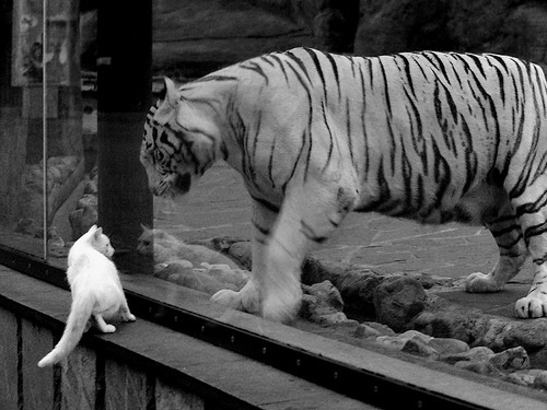 九游在线玩-国脚回国效力掀起转会热潮，国足回国视频