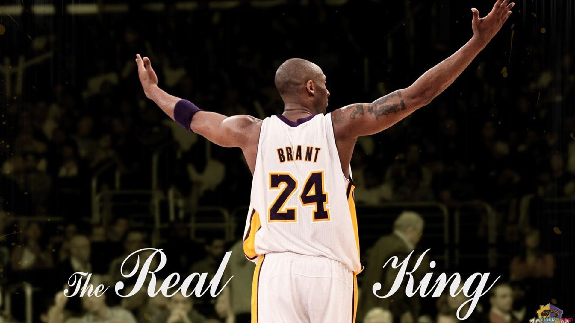 九游体育网站-巴西队攻防转换流畅，争夺四强实力显现，巴西队最强